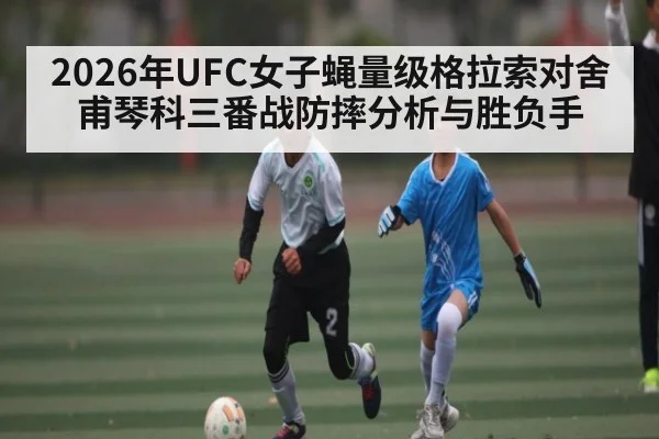 2026年UFC女子蝇量级格拉索对舍甫琴科三番战防摔分析与胜负手
